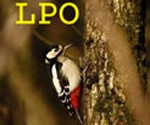 LPO © philapoitiers2014