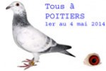 Colombophilie © philapoitiers2014